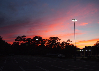 [Another silhouette of the trees against the sky which is now pink and blue and yellow. Several flood lights in the parking lot are also visible.]